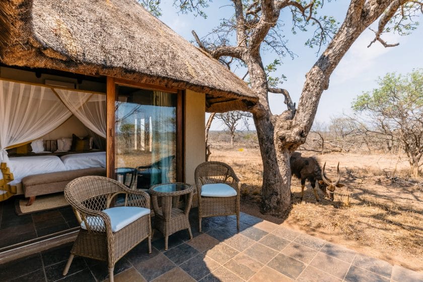 Thornybush Jackalberry Lodge