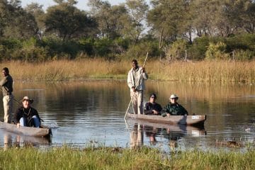 safari botswana 2024