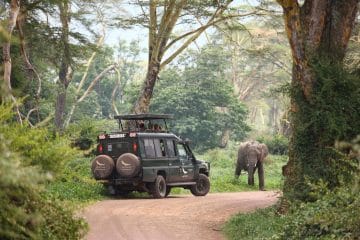 where is masai mara safari