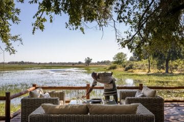 botswana safari deals