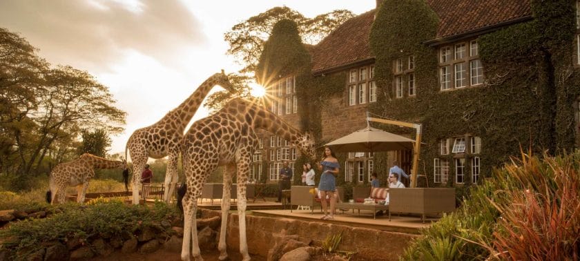 best safari lodge masai mara