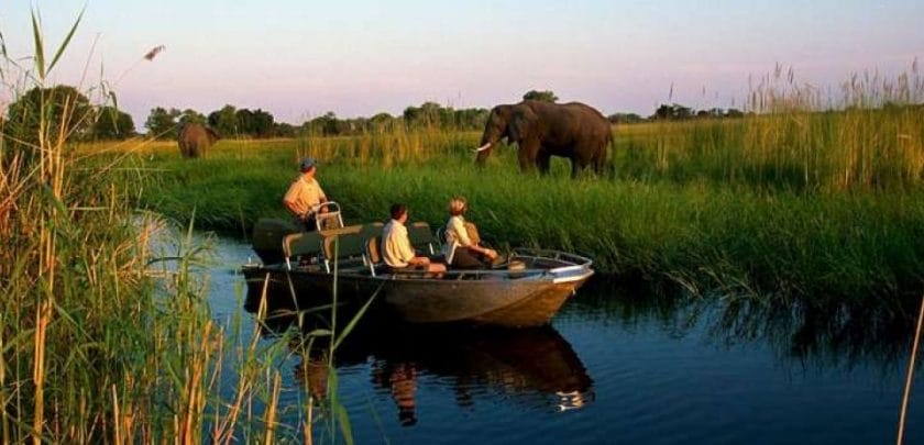 Boat adventures in the Okavango Delta