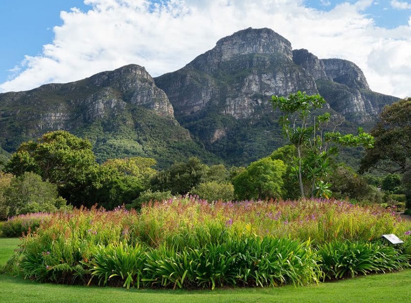 Kirstenbosch Botanical Gardens