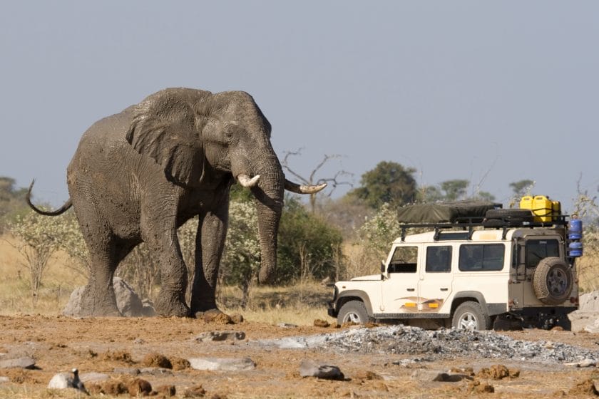 4x4 vehicle near a big African Elephant in Botswana.