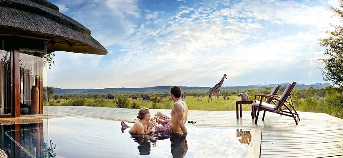 Honeymoon in South Africa with Wildlife spotting