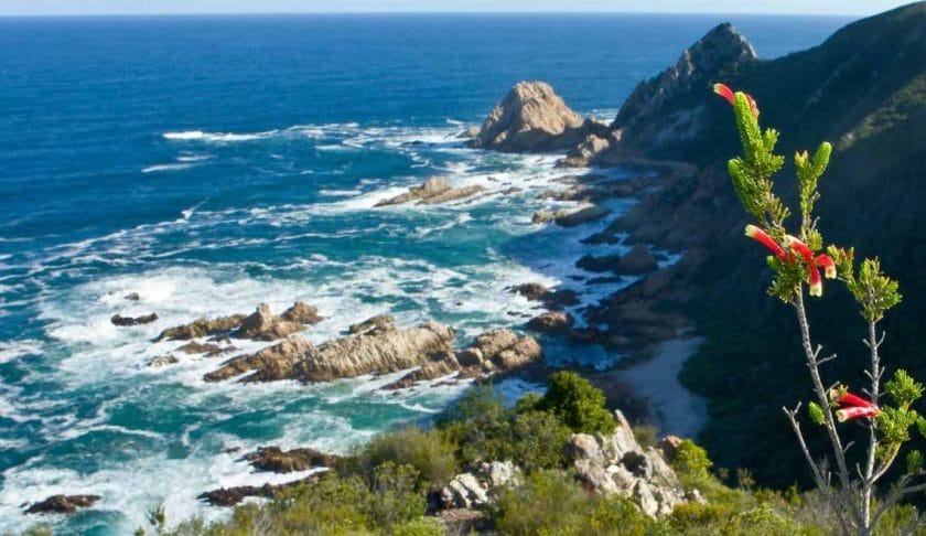 Harkerville in the Garden Route, South Africa | Photo credit: SANParks