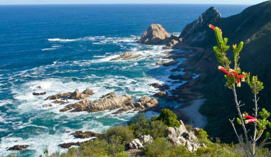 Stunning and beautiful place to visit in south africa The Garden Route