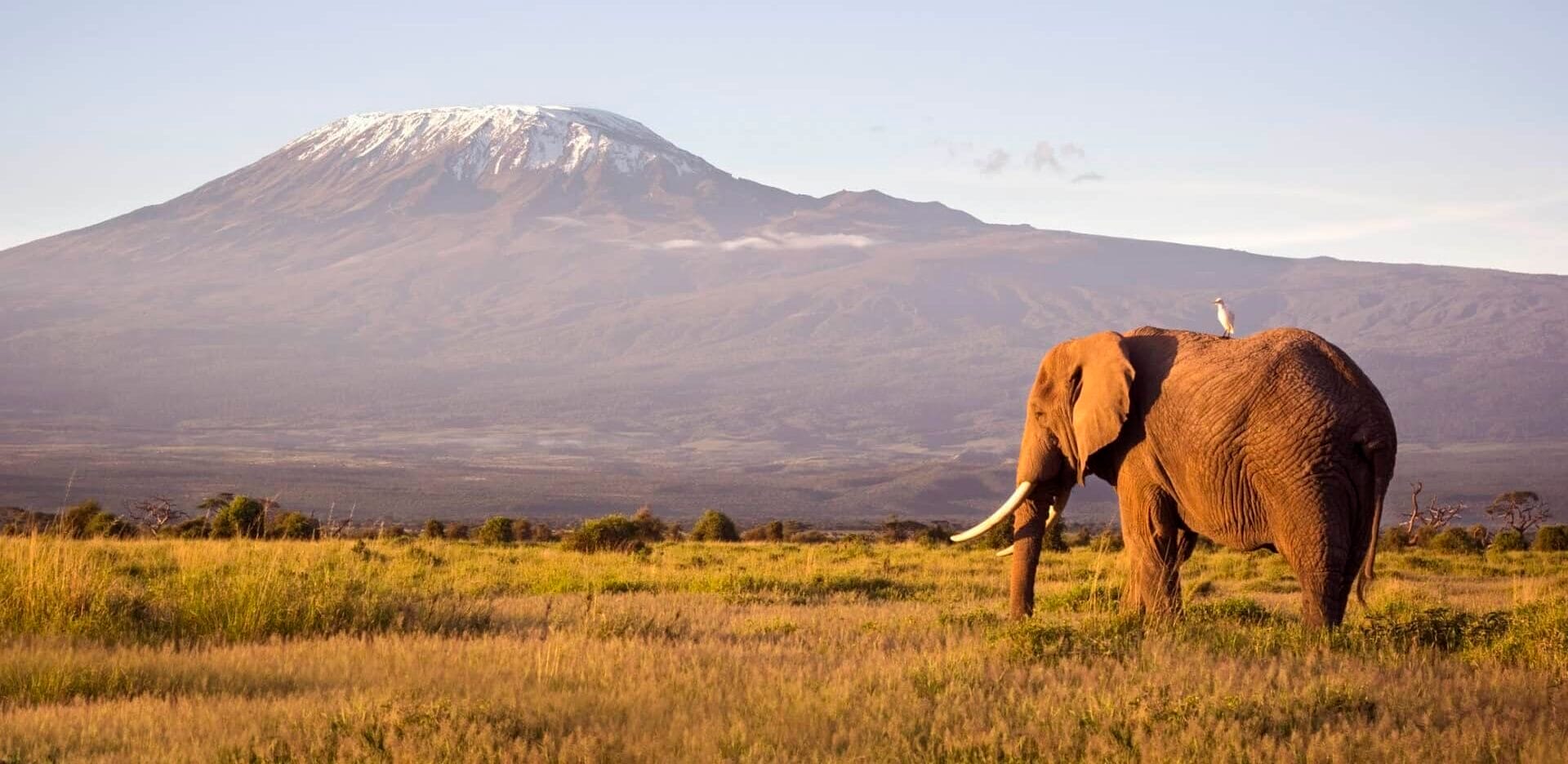 les safari kenya