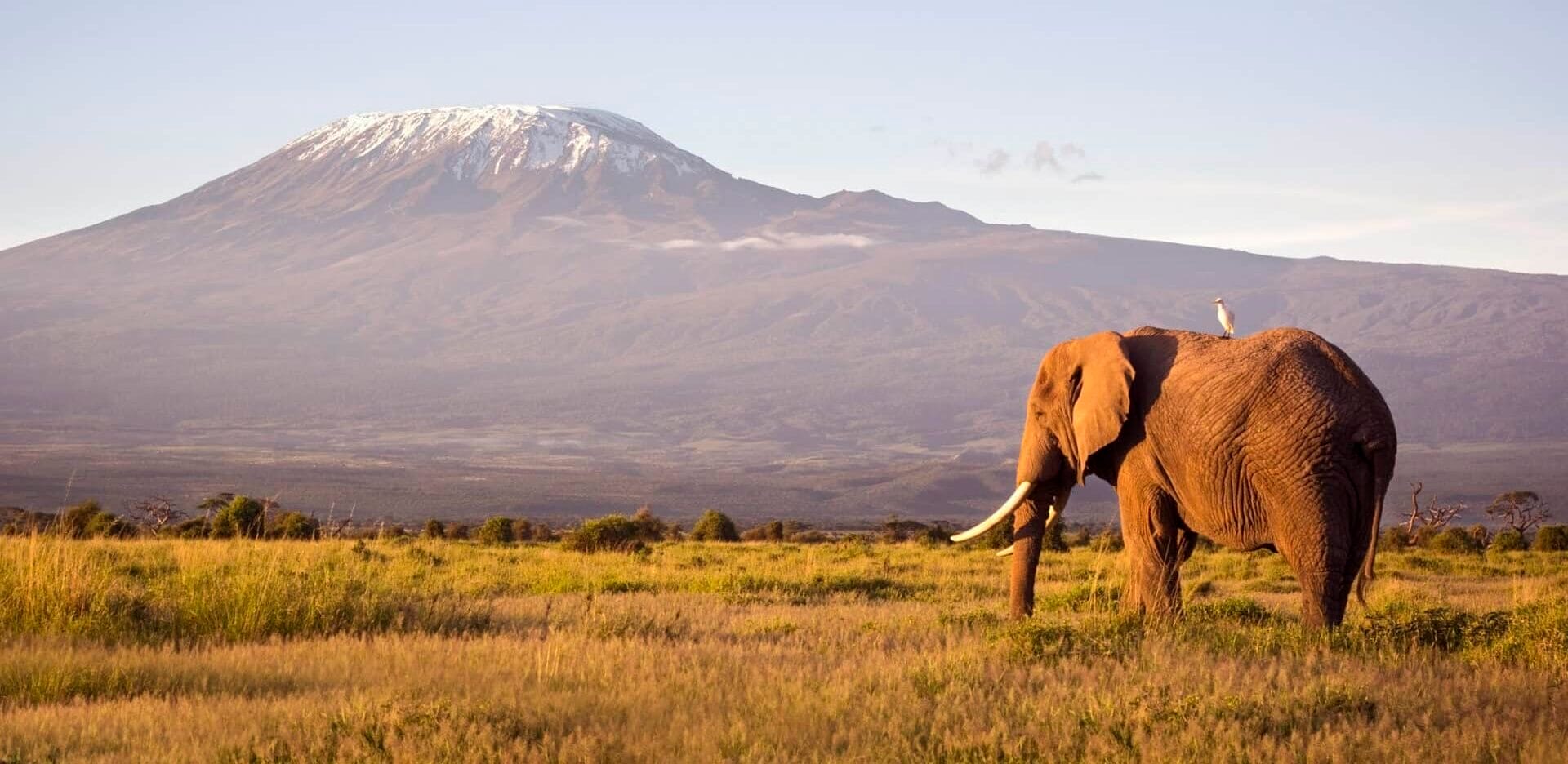 safari camp kenia