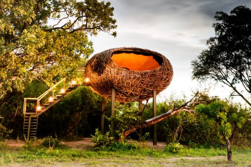 The nest at Chisa Busanga Camp, Zambia | Photo credit: Chisa Busanga Camp