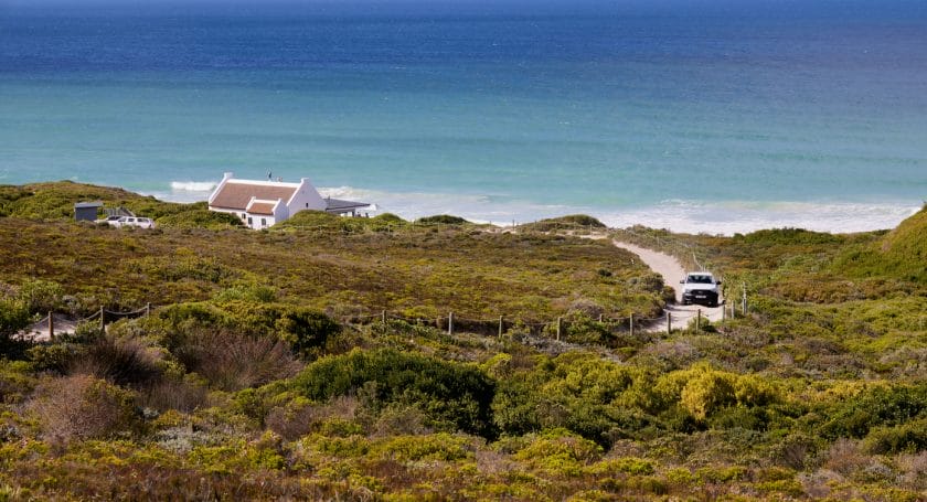 A narrow road on the shore surrounded by lush greenery. De Hoop Nature Reserve, South Africa.