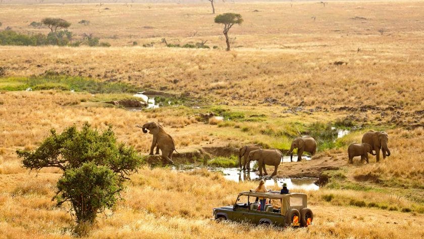 safari camping fotos