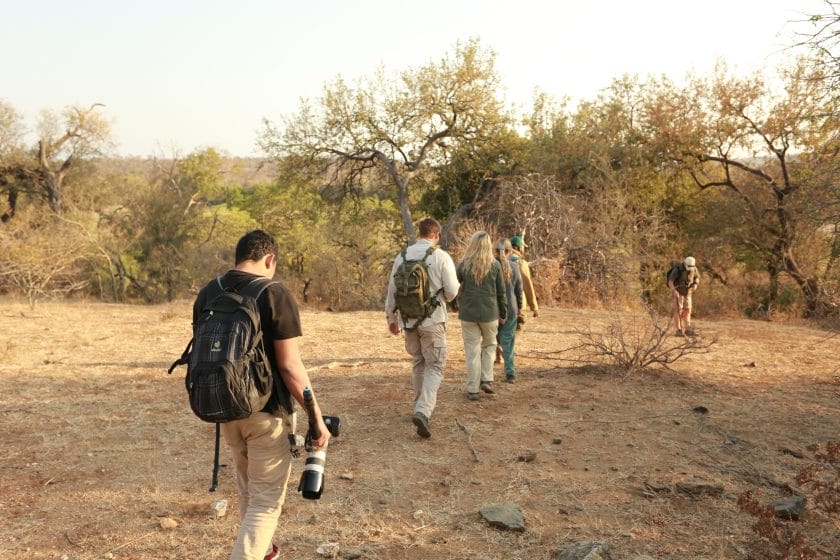 Walking safari in the Kruger National Park, South Africa