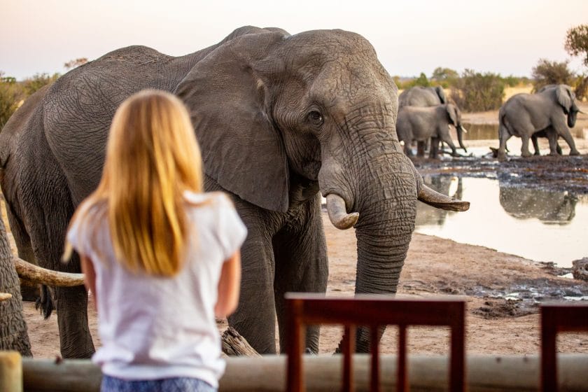 A girl gets up close and personal with an African elephant at the Nehimba Safari Lodge in Hwange National Park, Zimbabwe Africa