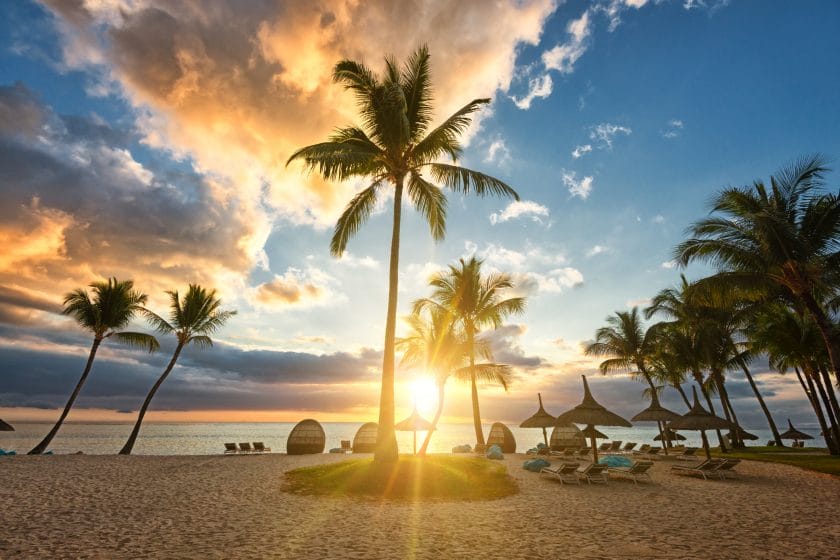 Some palm trees in front of a beautiful sundown in Mauritius