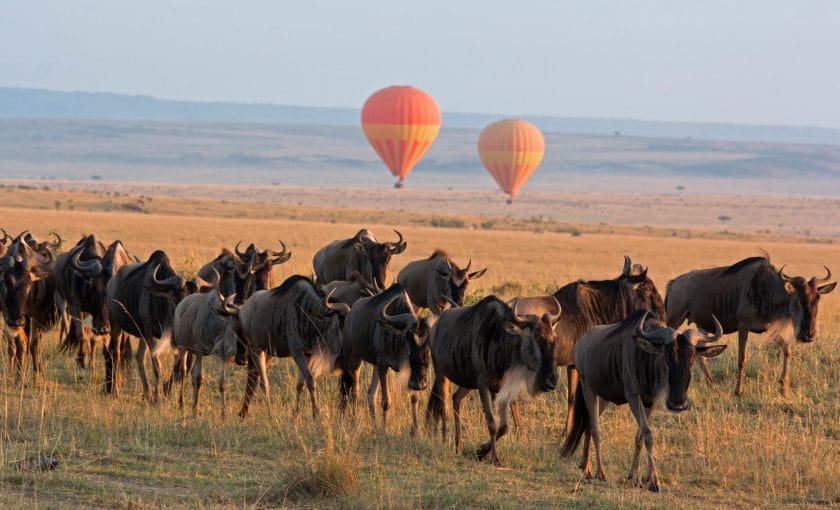 best safari lodge masai mara