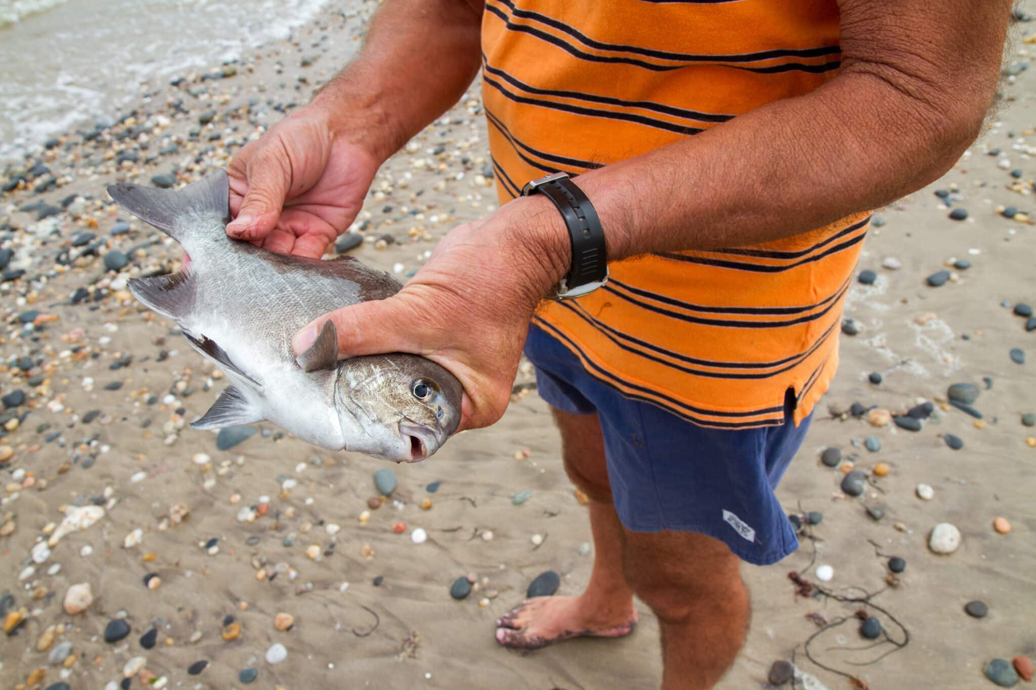 Fishing in Namibia | Discover Africa