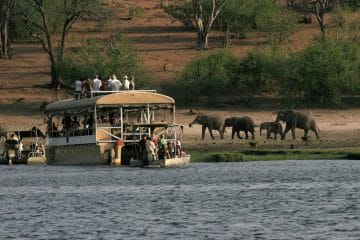 safari to okavango delta