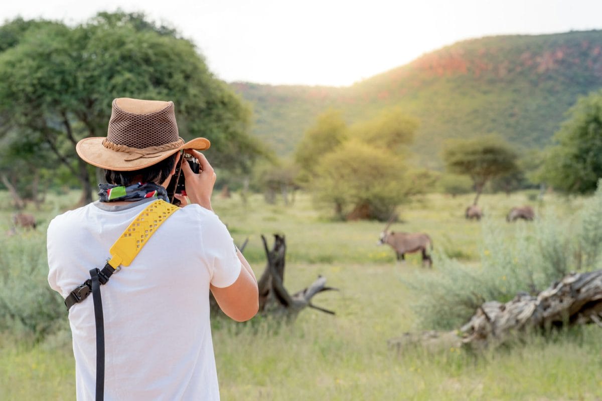 The Resurgence of Solo Safari Travel in a Post-Covid World