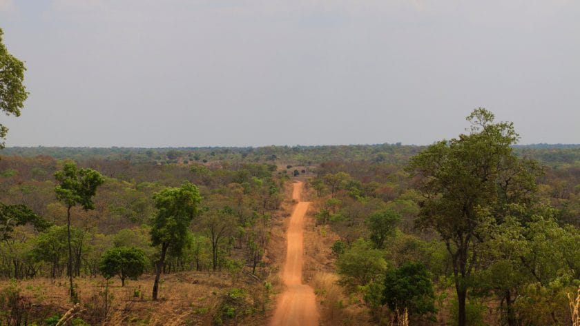 Dirt road in Zambia.