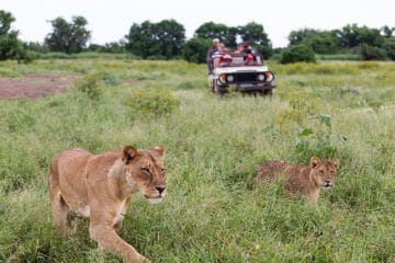 botswana and rwanda safari