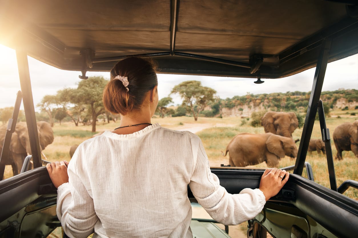 Africa Hits Full International Tourism Recovery, as Seasonality Shift