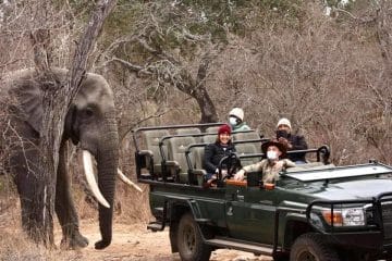 south africa safari reserves