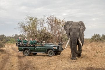 price of african safari vacation package