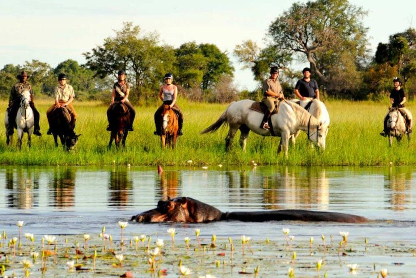 Hippo spotted by a group of people on a horseback safari | Photo credit: Camp Macatoo