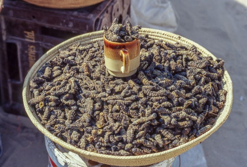 Mopane worms at the local market