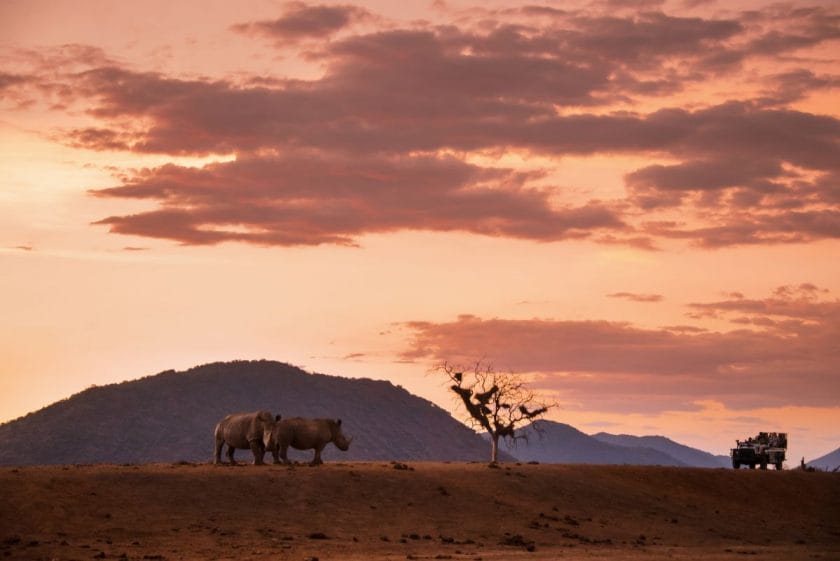 Two rhinos and a game drive vehicle at sunset in Kruger National Park. Source: South African Tourism