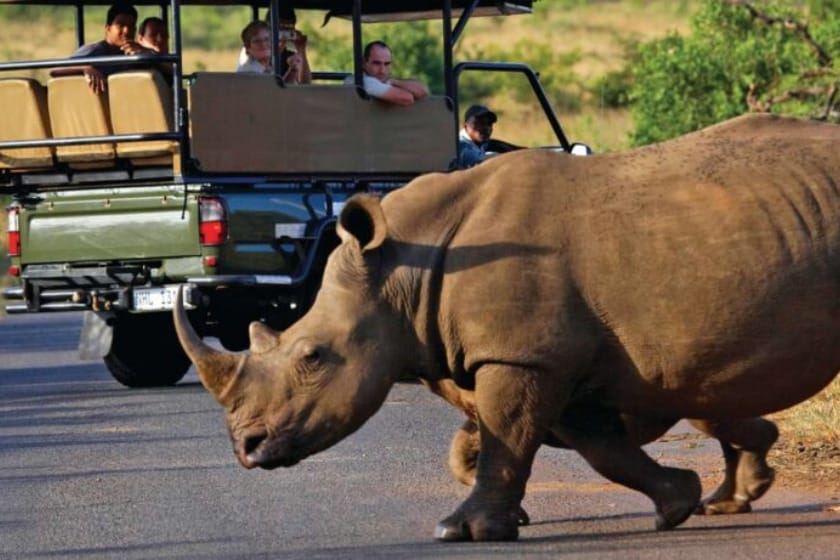 Rhino being observed by a tour group in Hluhluwe-Imfolozi Park, South Africa