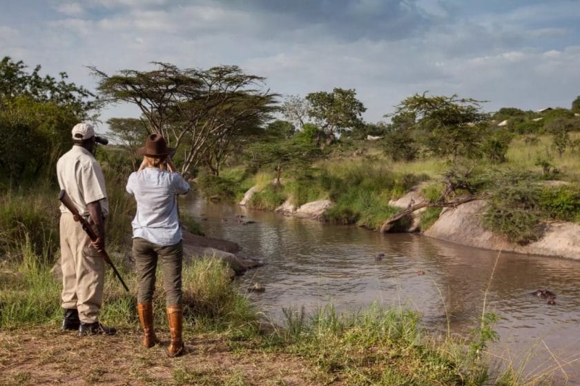 A woman and safari guide watch animals cross a river in the Serengeti.