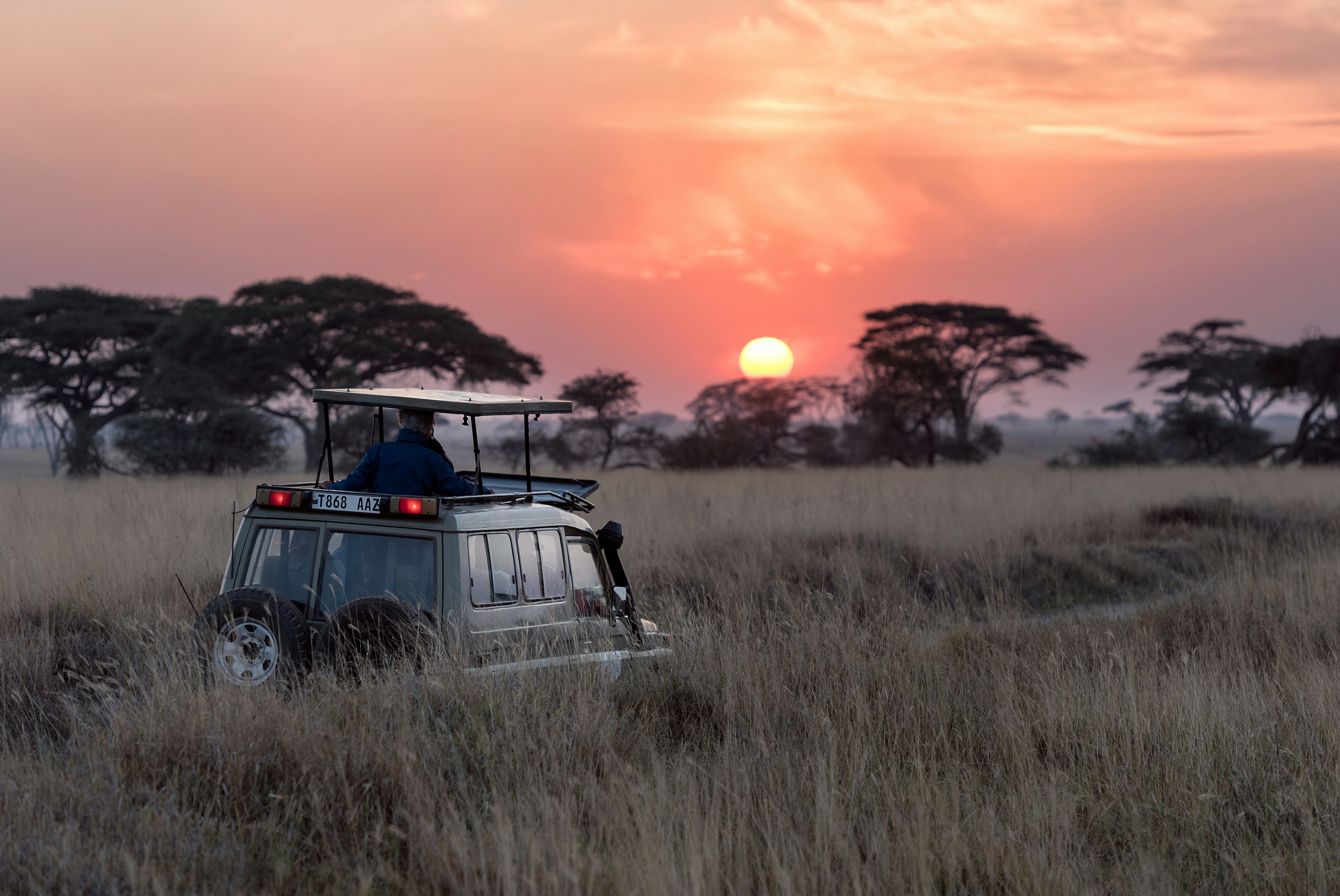 Scheduled Safari vs Tailored Safari Tours – Which is Best for You?