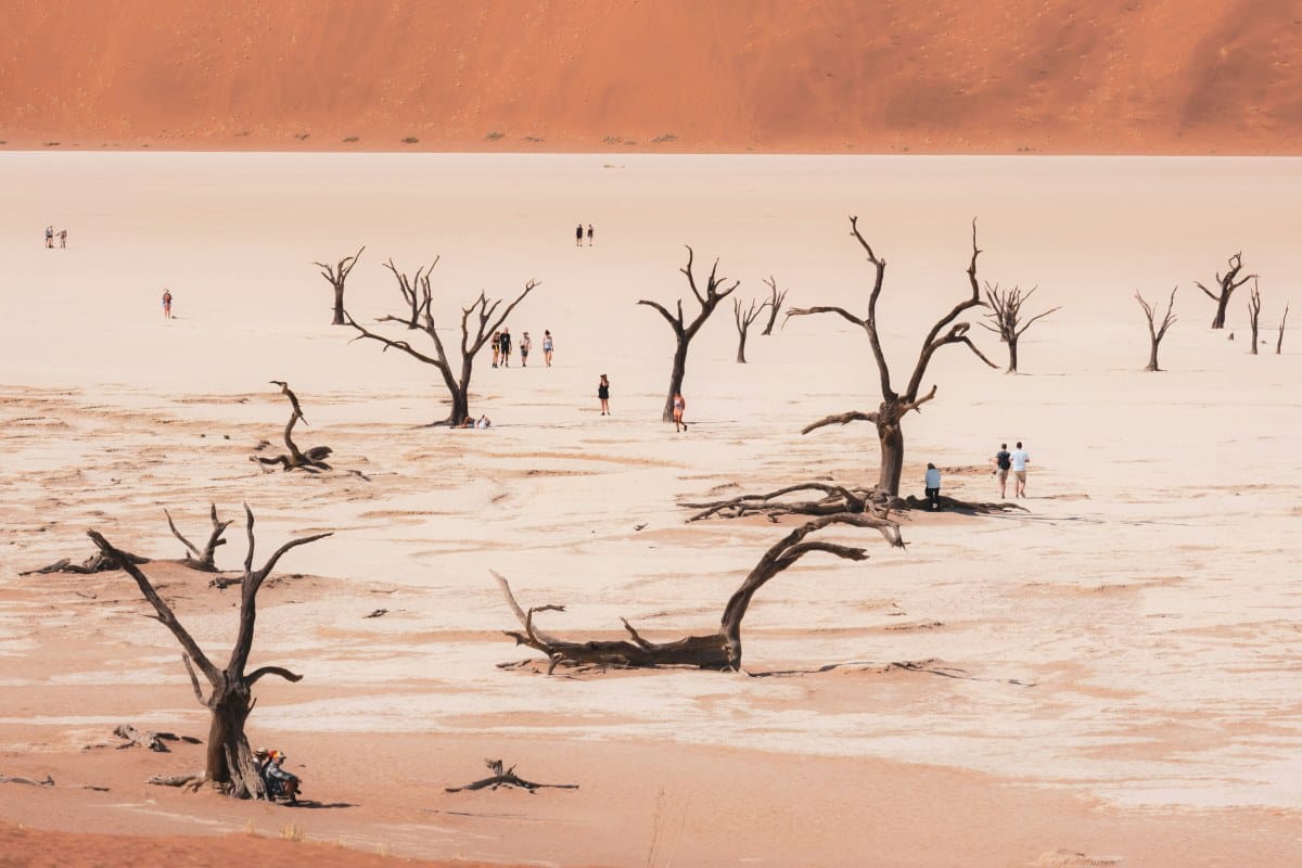 All You Need to Know About Eco-Tourism in Namibia