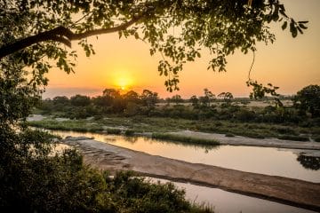 safari a sudafrica