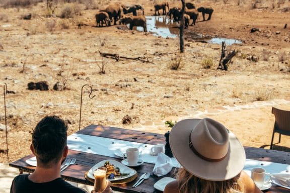 the royal madikwe luxury safari lodge