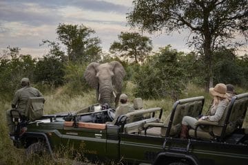 safari ride in south africa