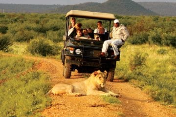 rovos rail namibia safari