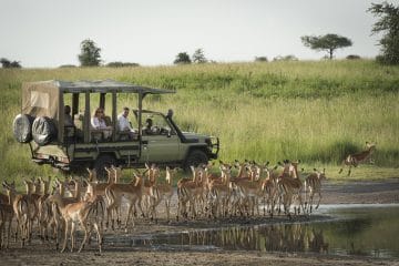 africa safari march