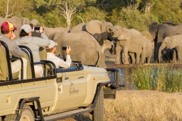 discovery tours south africa