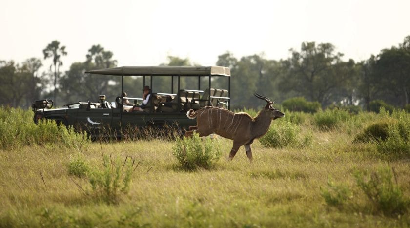 Game drive in Botswana.