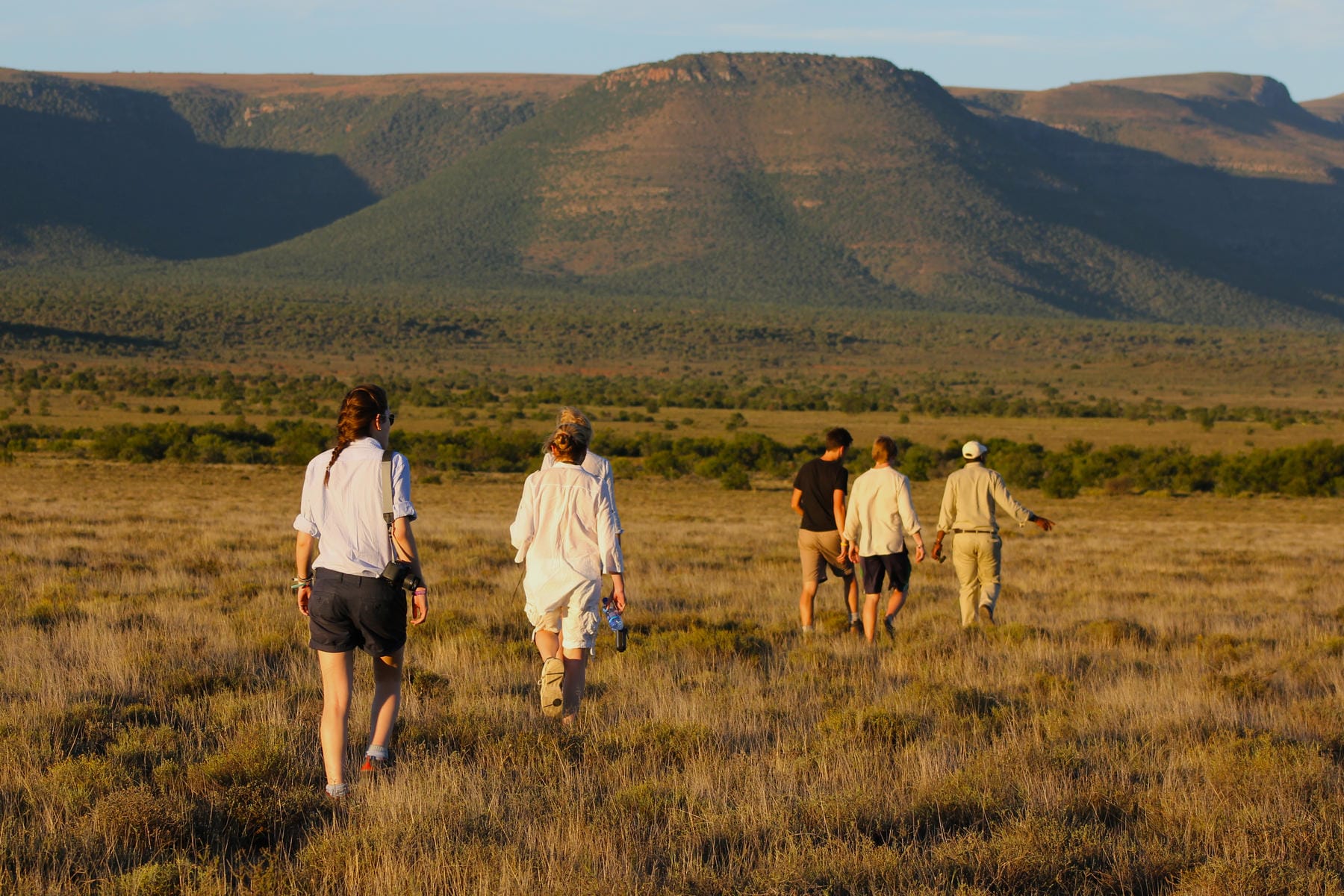 cheap south african safari packages