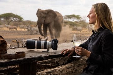 safari in africa costi