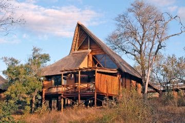 lukimbi safari lodge classic suite