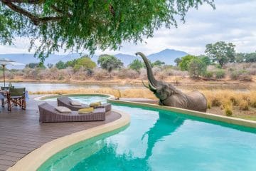 african safari luxury