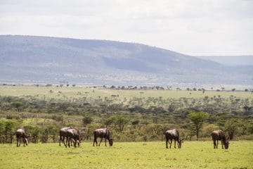 best african photo safari tours