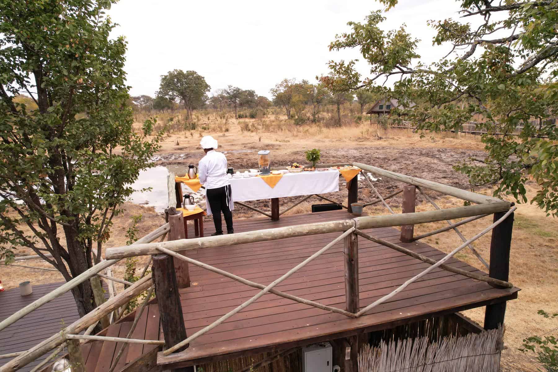 Chobe Mopani Forest Lodge Chobe Mopani Forest Lodge, Chobe National