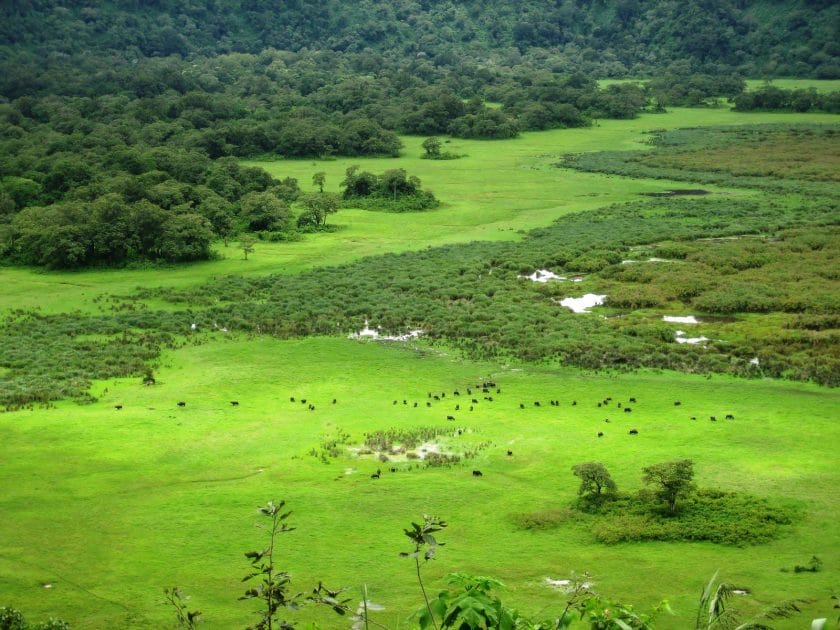 Aerial view of Arusha National Park, Tanzania