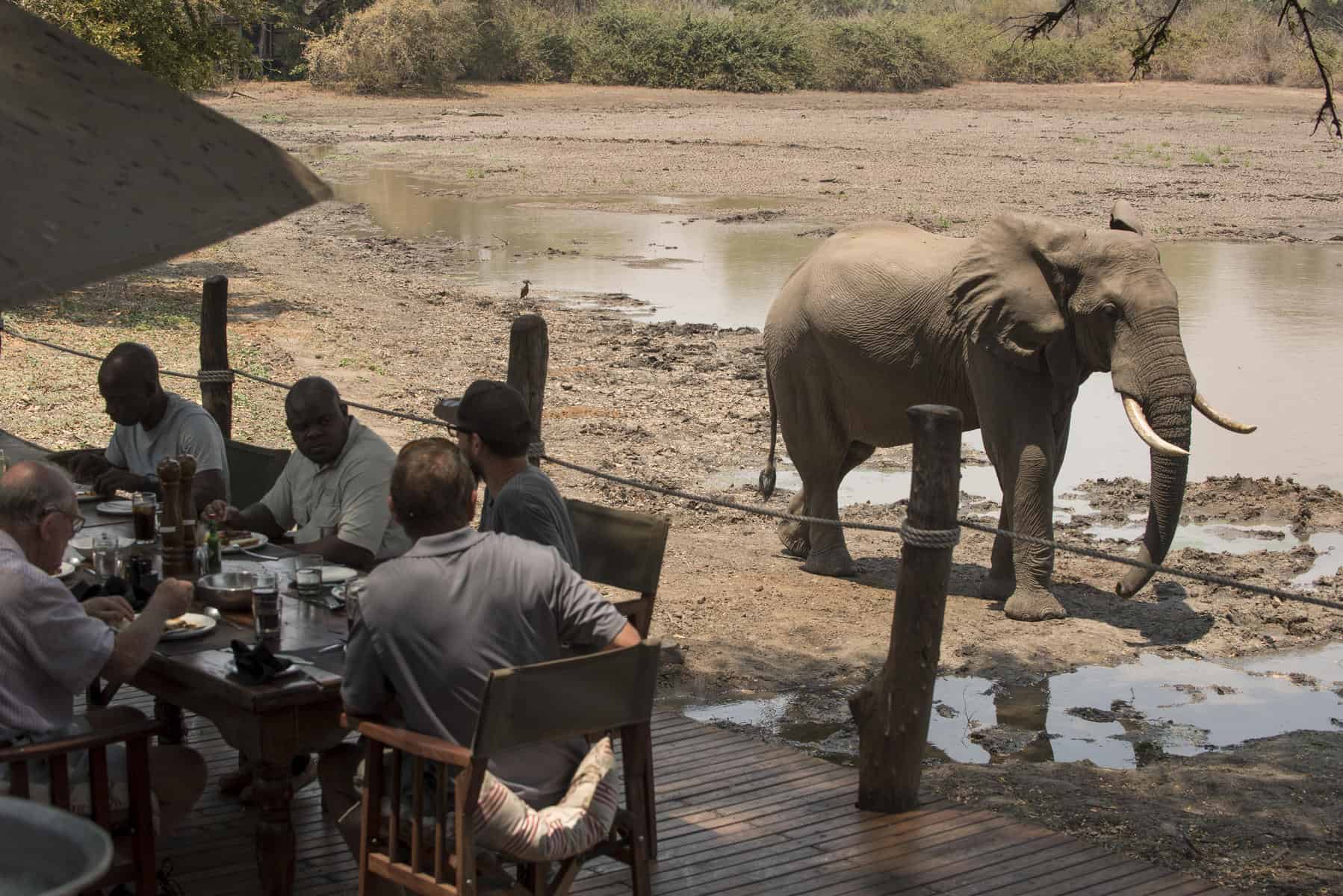 African Bush Camps Kanga Camp Kanga Camp, Mana Pools, Zimbabwe